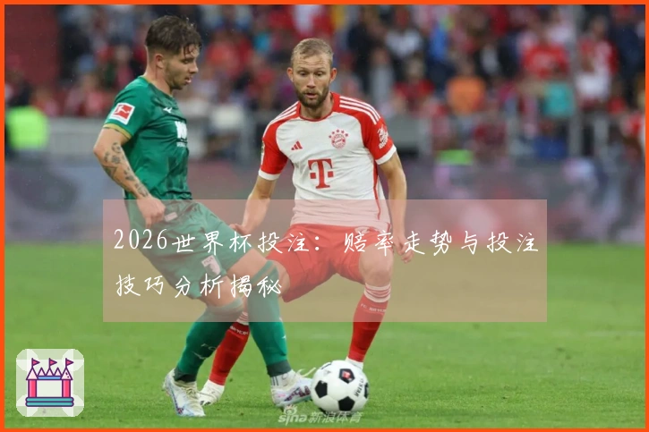 2026世界杯投注：赔率走势与投注技巧分析揭秘