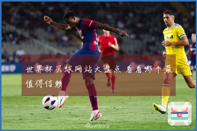 世界杯买球网站大盘点 看看哪个最值得信赖