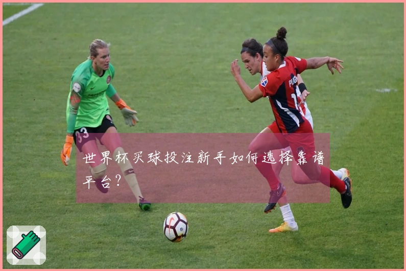 世界杯买球投注新手如何选择靠谱平台？