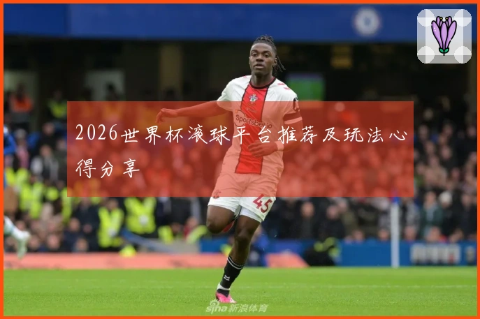 2026世界杯滚球平台推荐及玩法心得分享