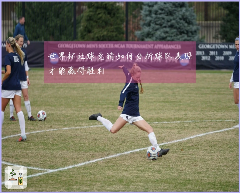 世界杯让球竞猜如何分析球队表现才能赢得胜利